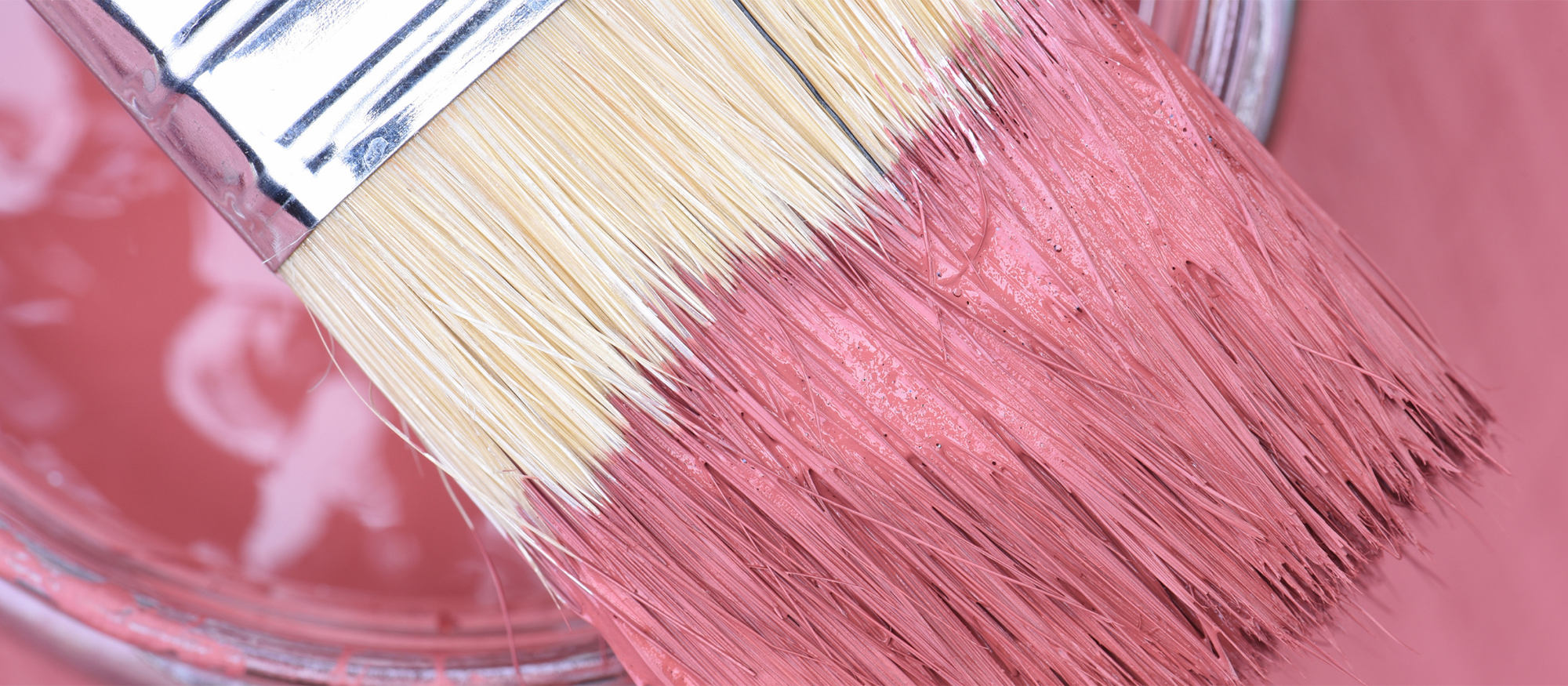 Brush Care - Post Painting Maintenance